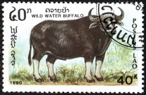 [Mammals, タイプ AUH]