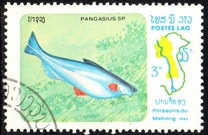 [Fish of Mekong River, Tip YW]