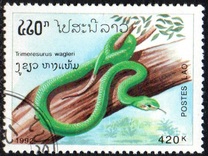 [Snakes, tipas AXP]