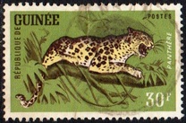 [Wild Game, տեսակ AR]