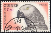 [Birds, тып BA]