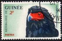 [Birds, тып BD]