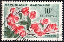 [Flowers, type AN1]