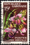[Flora., tipo CF]