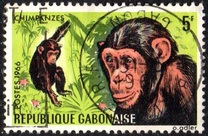 [Gabon Fauna, type EE]