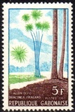 [Gabon Trees, type FE]