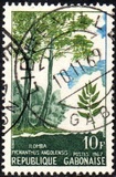 [Gabon Trees, type FF]