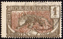 [Leopard - Panthera pardus, type A]