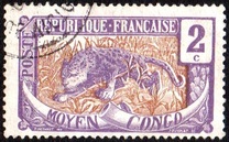 [Leopard - Panthera pardus, type A1]