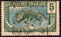 [Leopard - Panthera pardus, type A3]