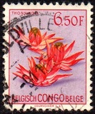 [Definitive Issues - Flowers, प्रकार ES]