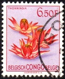 [Definitive Issues - Flowers, प्रकार ES]