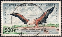 [Birds, type N]