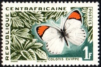 [Butterflies, тип AP]