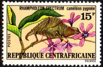 [Pygmy Chameleon, type LE]