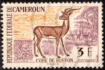 [Postage Stamps - Animals, 類型 CJ1]