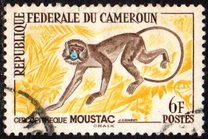 [Postage Stamps - Animals, 類型 CH1]