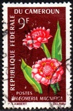 [Flowers, type FJ]