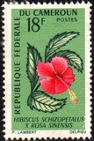 [Flowers, type FK]
