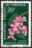 [Flowers, type FL]