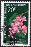 [Flowers, type FL]