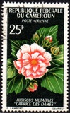 [Flowers, type FM]