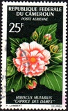 [Flowers, type FM]