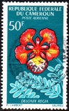 [Flowers, type FN]