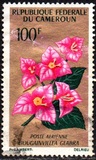 [Flowers, type FO]