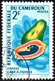 [Fruits, type HB]