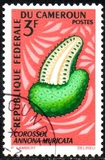 [Fruits, type HC]