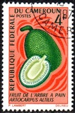 [Fruits, type HD]