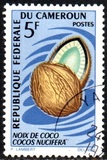 [Fruits, type HE]