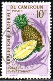 [Fruits, type HH]