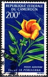 [Flowers, jenis HK]