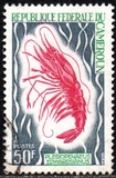 [Fish and Crustaceans, Вид IQ]