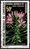 [African Climbing Plants, type KP]
