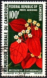 [African Climbing Plants, type KQ]