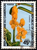 [Flowers, tegund OI]