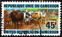 [Cattle-raising in North Cameroun, Tip QG]