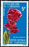 [Flowers of North Cameroun, տեսակ RB]