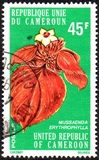 [Flowers of North Cameroun, տեսակ RD]