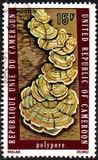[Natural History, Tipe RH]