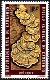 [Natural History, Tipe RH]
