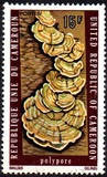 [Natural History, Tipe RH]