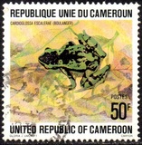 [Cameroun Frogs, වර්ගය UA]