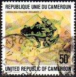 [Cameroun Frogs, වර්ගය UA]