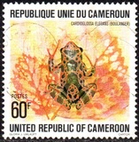 [Cameroun Frogs, වර්ගය UB]