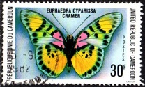 [Butterflies, Tipe UP]