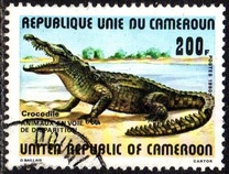 [Endangered Animals, type WJ]